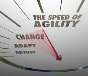 Speed of Agility Speedometer Quick Change Adaptation