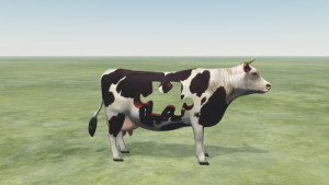 Cow Puzzle