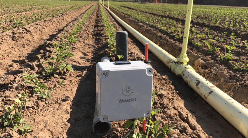 WaterBit-grape-field-2-1024x569