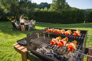 barbecue in the backyard